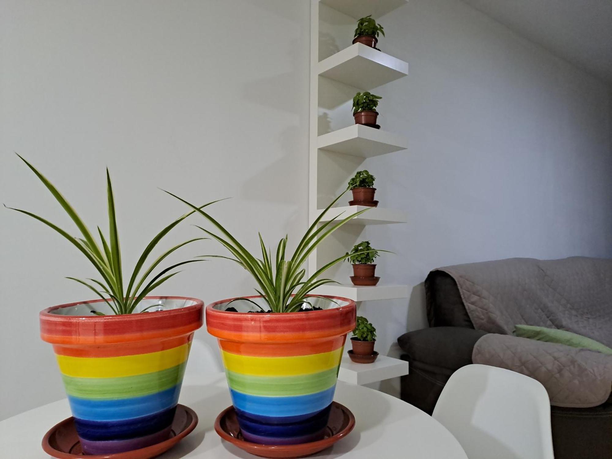 Apartamento Toyo, Parque Natural Cabo De Gata Almeria Exterior foto